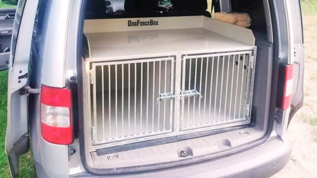 Iker kutyabox - DogForceBox