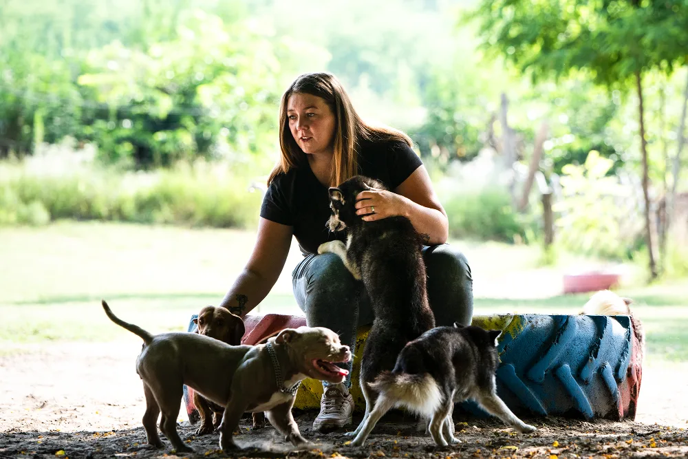 DogForce Kutyapanzió - Füzesi Fanni